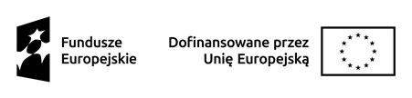 Układ podstawowy poziomy wersja achromatyczna- Fundusze Europejskie, Dofinansowane przez Unię Europejską 
