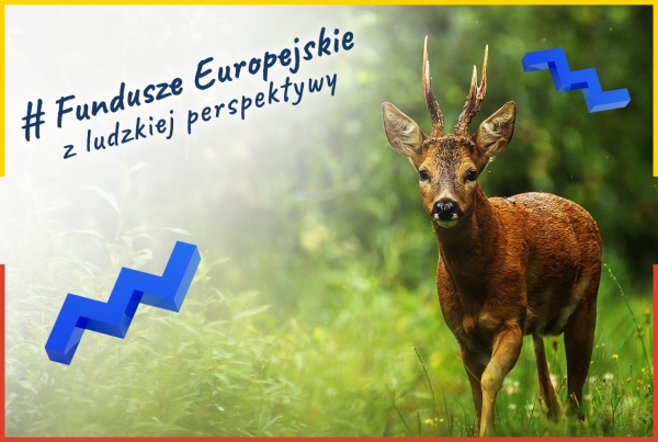 LEŚNY OŚRODEK REHABILITACJI ZWIERZĄT W KOLE JUŻ GOTOWY BY NIEŚĆ POMOC PODOPIECZNYM
